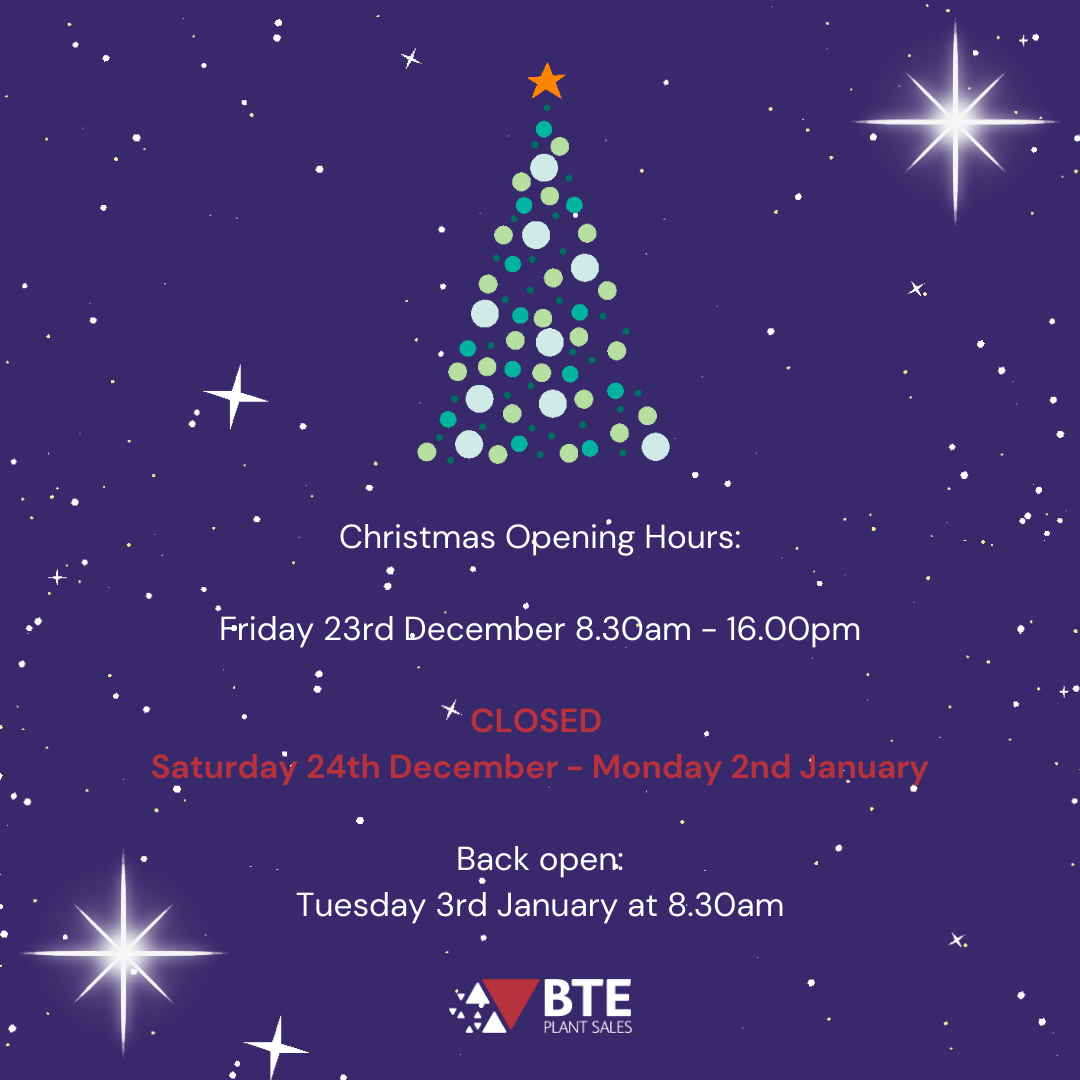 BTE's Christmas opening hours. Friday 23rd December 8.30am - 16.00pm. closed Saturday 24th December - Monday 2nd January. Back Open Tuesday 3rd January at 8.30am