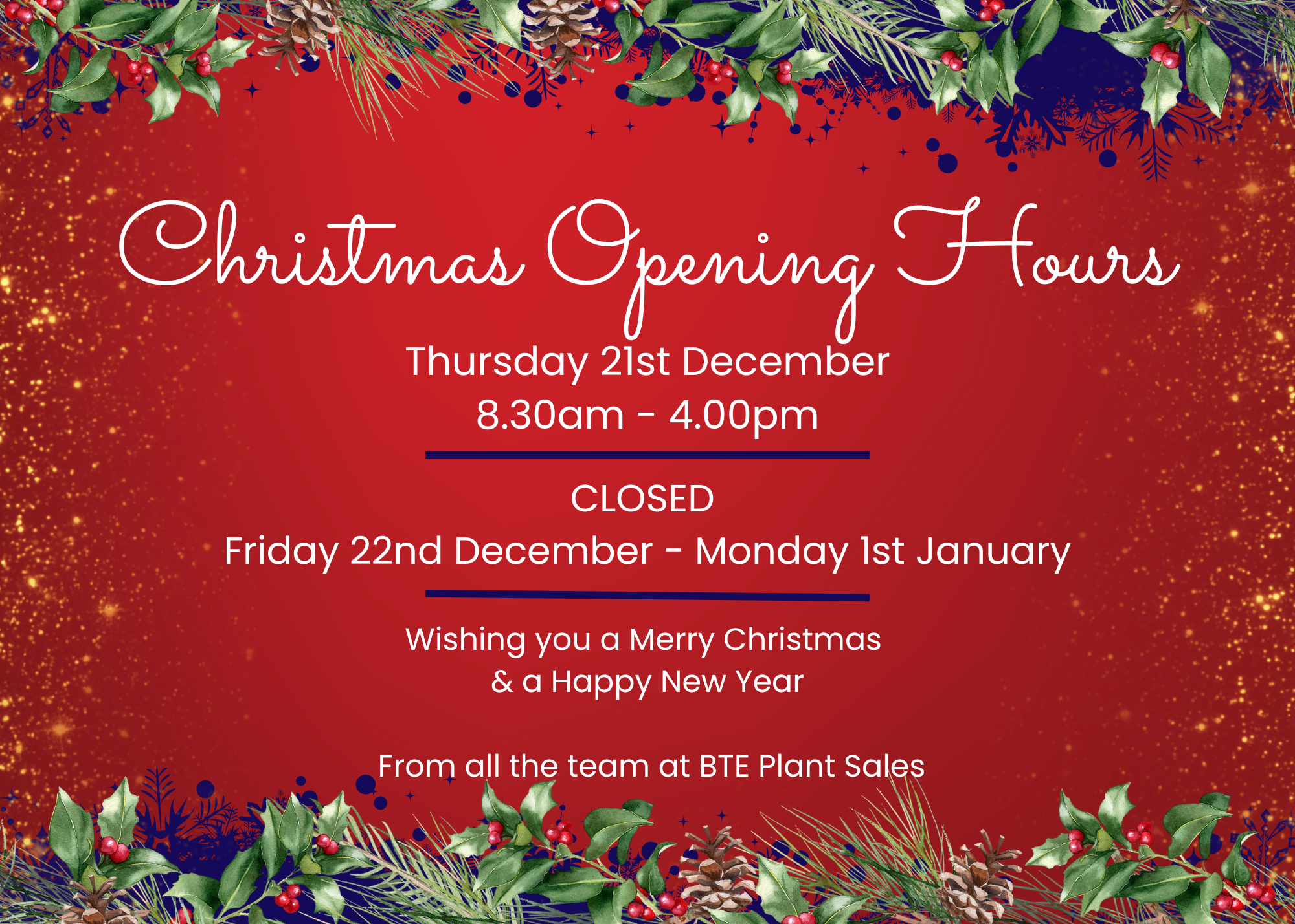 BTE's Christmas opening hours. Friday 23rd December 8.30am - 16.00pm. closed Saturday 24th December - Monday 2nd January. Back Open Tuesday 3rd January at 8.30am
